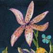Flora, 2026