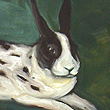Spotted Bunny - 2006