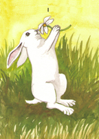 the Rabbit Tarot by Nakisha