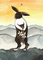 the Rabbit Tarot by Nakisha