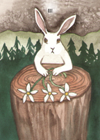 the Rabbit Tarot by Nakisha