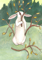 the Rabbit Tarot by Nakisha