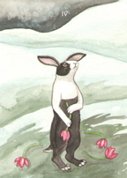 the Rabbit Tarot by Nakisha