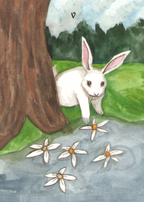 the Rabbit Tarot by Nakisha