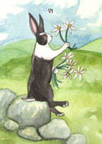 the Rabbit Tarot by Nakisha