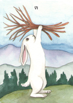 the Rabbit Tarot by Nakisha