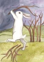 the Rabbit Tarot by Nakisha