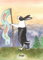 the Rabbit Tarot by Nakisha