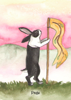 the Rabbit Tarot by Nakisha